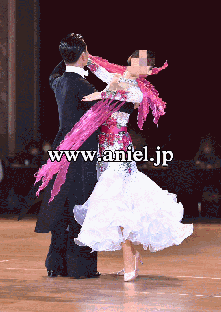 社交ダンスドレス・衣装のドレスネットアニエル / M5211・【Silvia 